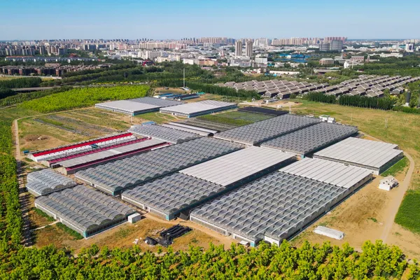 Aerial view of Mengmu Nurseries greenhouse facilities