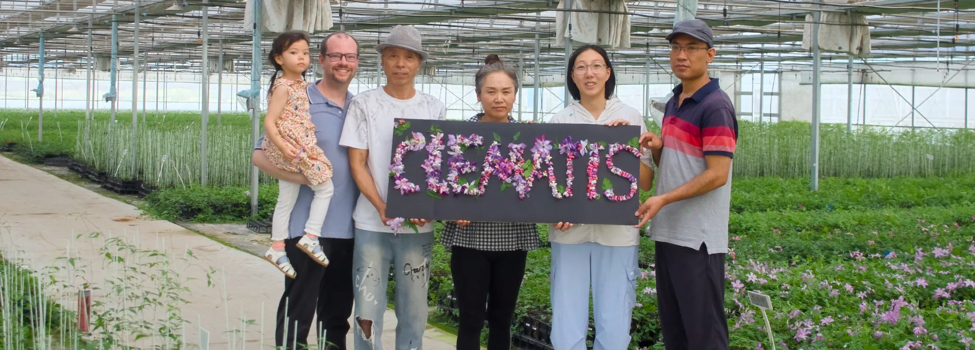 Inside greenhouse at Mengmu Nurseries